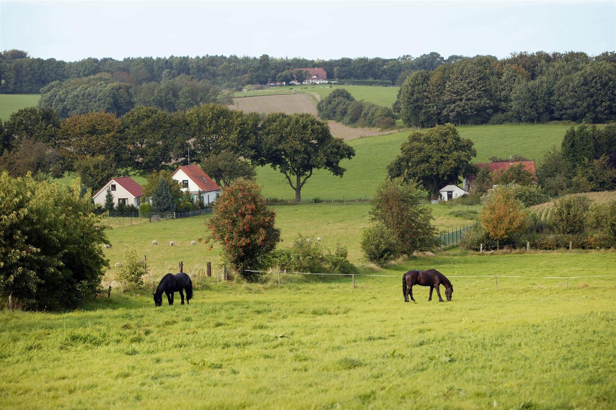 Hotel & Appartementen - De Zeven Heuvelen Грусбек Экстерьер фото